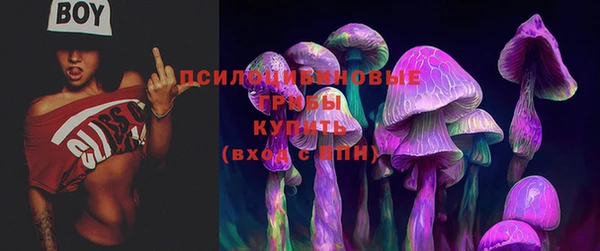 молекула духа Алзамай