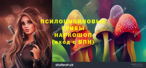 молекула духа Алзамай